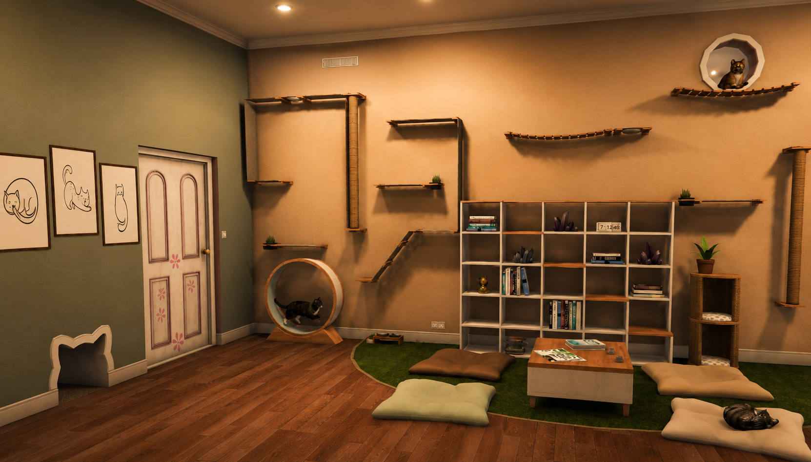 Cat Playground